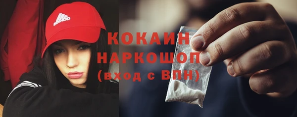 ешки Алзамай