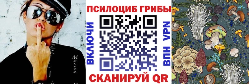 Галлюциногенные грибы прущие грибы  blacksprut ссылка  Тайга 